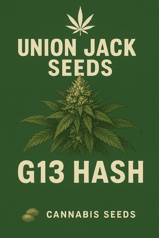 G13 Hash Plant