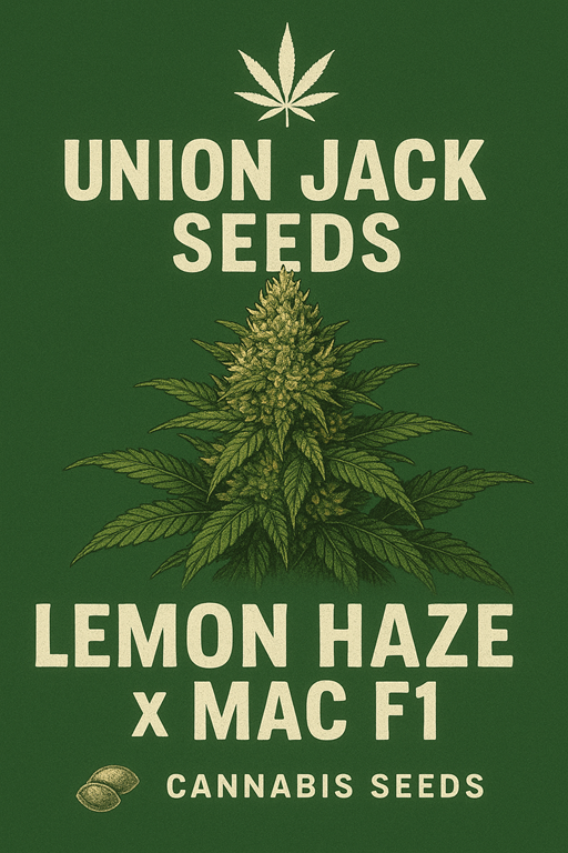 Lemon Haze xMack #1