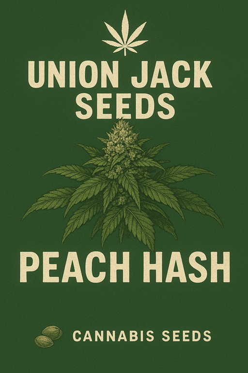 Peach 13 Hash Plant